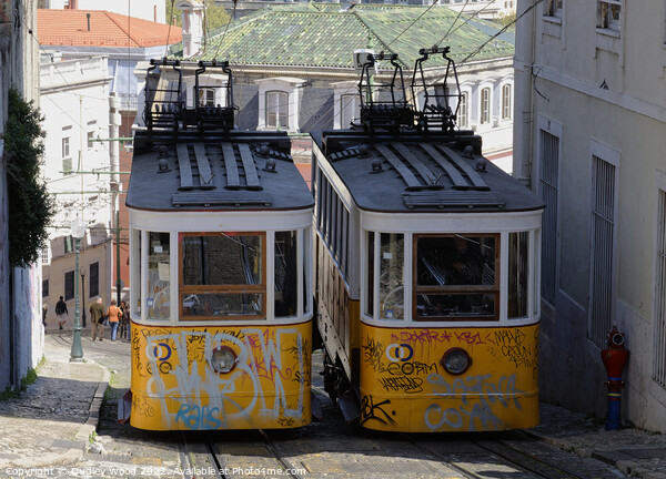 funicular trams Picture Board by Dudley Wood
