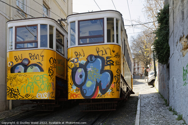 GraffitiClad Funicular Trams in Lisbon Picture Board by Dudley Wood