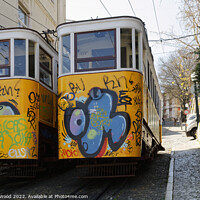 Buy canvas prints of GraffitiClad Funicular Trams in Lisbon by Dudley Wood