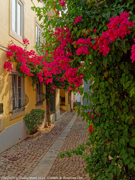 "Vibrant Charm of Cascais' Cobbled Lane" Picture Board by Dudley Wood