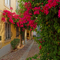 Buy canvas prints of "Vibrant Charm of Cascais' Cobbled Lane" by Dudley Wood