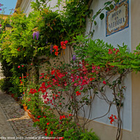 Buy canvas prints of Enchanting Cobbled Lane: A Burst of Nature's Color by Dudley Wood