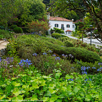 Buy canvas prints of Secluded  house Sintra by Dudley Wood