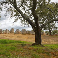 Buy canvas prints of Stone monoliths by Dudley Wood