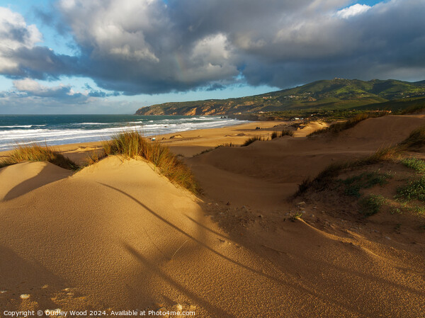 Guincho stormy 2 Picture Board by Dudley Wood