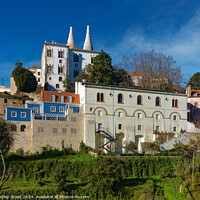 Buy canvas prints of Sintra Palace 1 by Dudley Wood