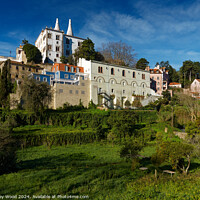 Buy canvas prints of Sintra Palace 2 by Dudley Wood