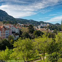 Buy canvas prints of Sintra view by Dudley Wood