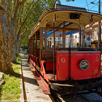 Buy canvas prints of Red tram 2 by Dudley Wood