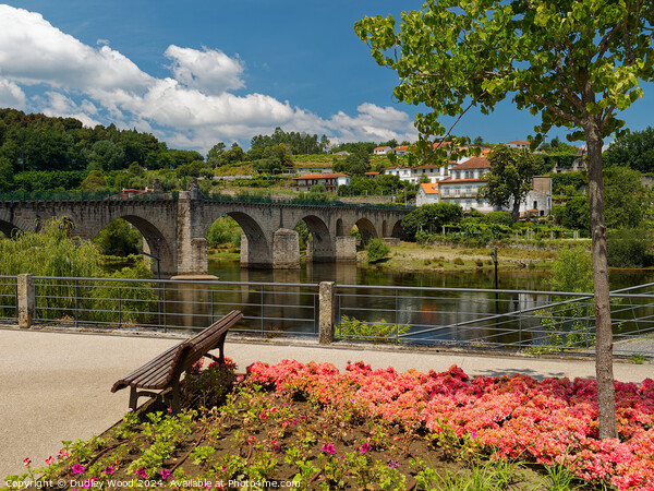 Ponte da Barca 1 Picture Board by Dudley Wood