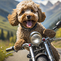 Buy canvas prints of Action Cockapoo Motorcycle Funny Dog by Artificial Adventures