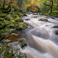 Buy canvas prints of Autumn on the River Plym, Dewerstone woods. Dartmoor.Uk by Simon Nicholson