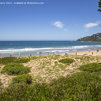 Buy canvas prints of Palm Beach Sydney by martin berry