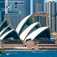 Buy canvas prints of Sydney Opera House by martin berry