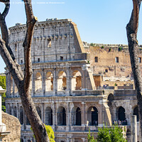 Buy canvas prints of Roman Colosseum Rome Italy by martin berry