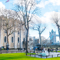 Buy canvas prints of Tower of London and Tower Bridge by martin berry
