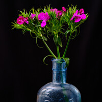 Buy canvas prints of Spring flowers in medicine bottle  by Christopher Murratt