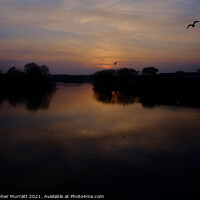 Buy canvas prints of Sunset at Attenborough  by Christopher Murratt
