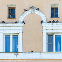Buy canvas prints of Facade with pigeons by Alexander Usenko