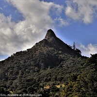 Buy canvas prints of Mt. Tokatoka in New Zealand by Errol D'Souza