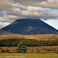 Buy canvas prints of Thick clouds over Mt. Ngauruhoe by Errol D'Souza