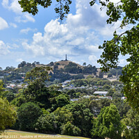 Buy canvas prints of One Tree Hill in Auckland, New Zealand by Errol D'Souza
