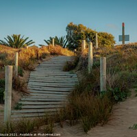Buy canvas prints of Matapouri Bay Beach Access Stairs by Errol D'Souza