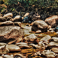 Buy canvas prints of Rocky Mossman River in the Daintree Rainforest by Errol D'Souza