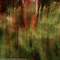 Buy canvas prints of Abstract Lush Vibrant Foliage by Errol D'Souza