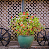 Buy canvas prints of Flower Pot and Two Cart Wheels by Errol D'Souza