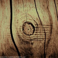 Buy canvas prints of Rustic timber whorl cross section  by Errol D'Souza
