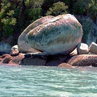 Buy canvas prints of Split Apple Rock in Tasman Bay New Zealand by Errol D'Souza