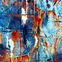 Buy canvas prints of Rusty and Blue by Errol D'Souza