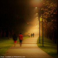 Buy canvas prints of A Twilight Misty Walk in the Park by Errol D'Souza