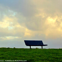 Buy canvas prints of Solitary Park Bench by Errol D'Souza