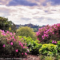 Buy canvas prints of Colourful Spring Floral Landscape by Errol D'Souza