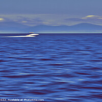 Buy canvas prints of Speedboat Racing on Lake Taupo by Errol D'Souza