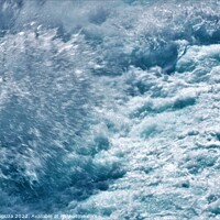 Buy canvas prints of Huka Falls Rapid Whitewater - scene 4 by Errol D'Souza