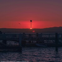 Buy canvas prints of Pilot Bay Sunset by Errol D'Souza