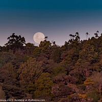 Buy canvas prints of Moonrise over Matapouri Bay by Errol D'Souza