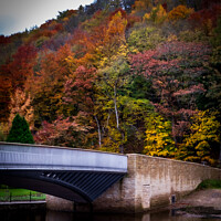 Buy canvas prints of Pooley Bridge in Autumn by James Brodnicki