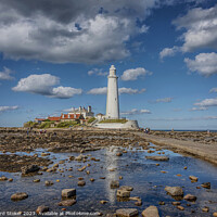 Buy canvas prints of St Mary's Lighthouse by Richard Stoker