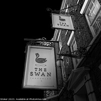 Buy canvas prints of The Swan by Richard Stoker