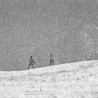 Buy canvas prints of Snow Time Like Playtime by Richard Stoker