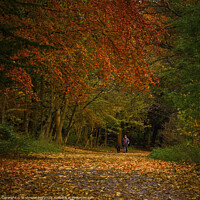 Buy canvas prints of Autumn Walkies by liz christensen