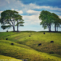 Buy canvas prints of Cows on a lush green Roundway Hill by Arion Espinola