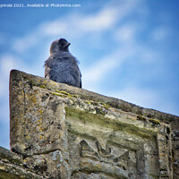 Buy canvas prints of Curious bird at the ancient church  by Arion Espinola