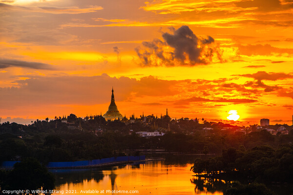 Shwedagon Pagoda in Yangon Myanmar Asia during the sunrise	 Picture Board by Wilfried Strang