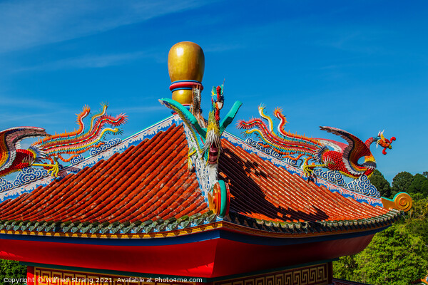 Chinese dragon statue on a roof of a temple Picture Board by Wilfried Strang