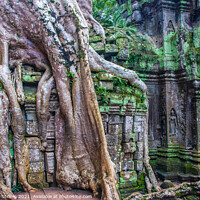 Buy canvas prints of a Prohm the tomb raider temple in Angkor Cambodia Asia	 by Wilfried Strang